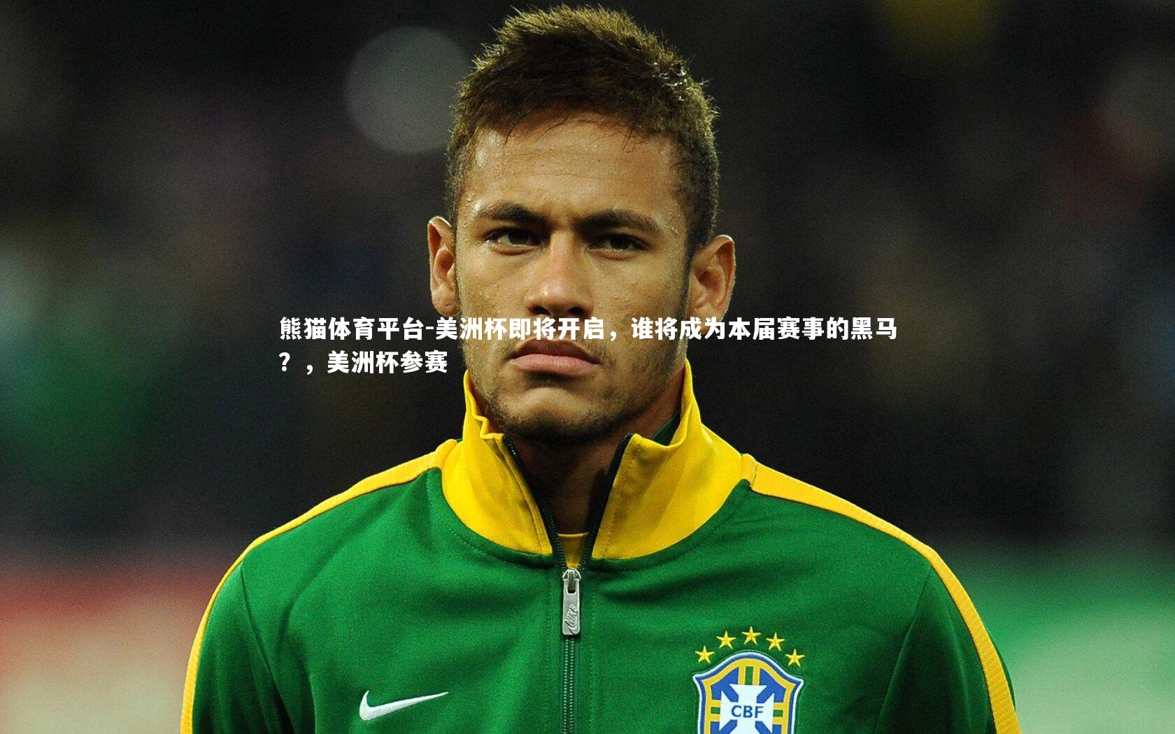 美洲杯即将开启，谁将成为本届赛事的黑马？，美洲杯参赛