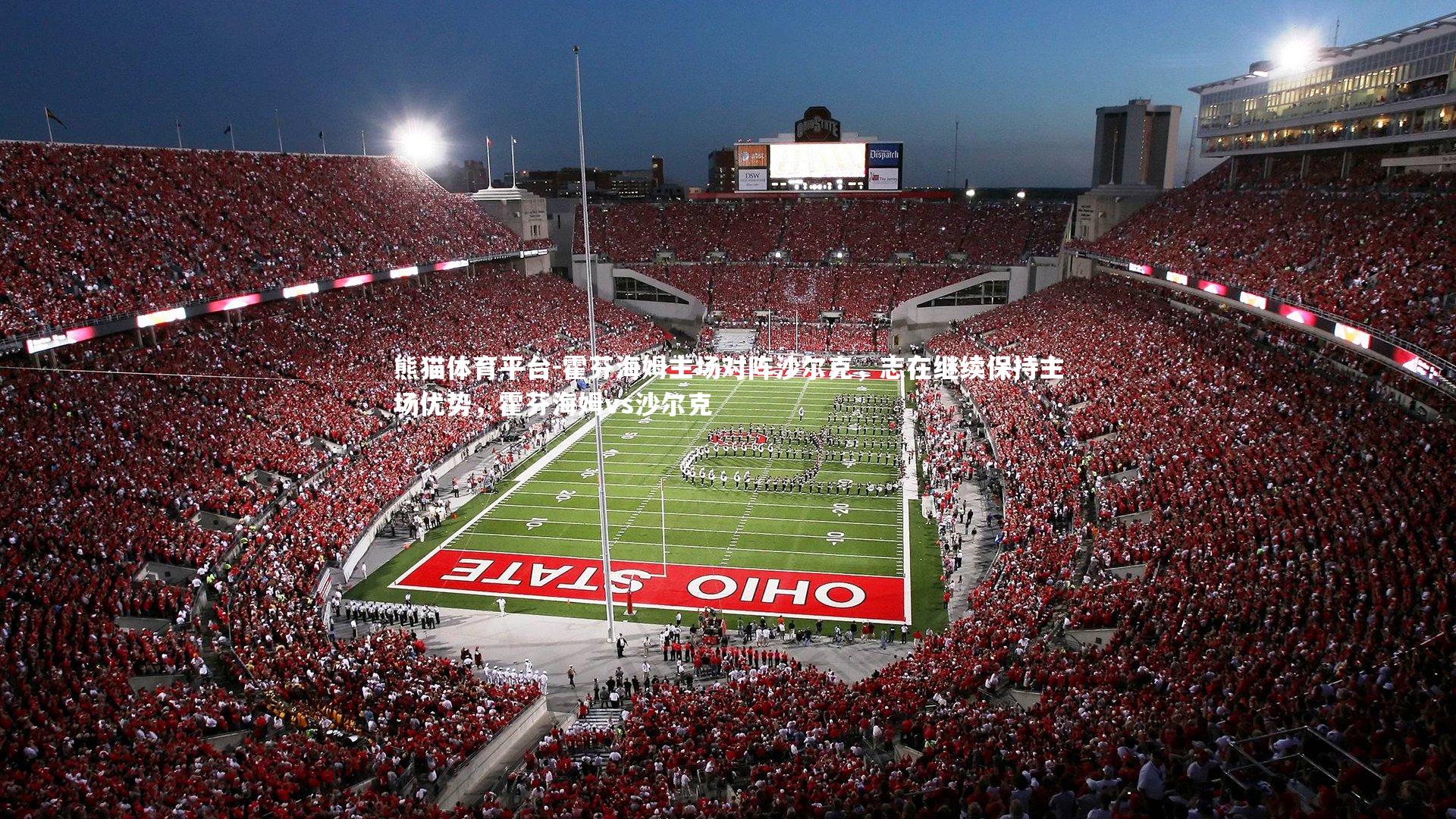 霍芬海姆主场对阵沙尔克，志在继续保持主场优势，霍芬海姆vs沙尔克