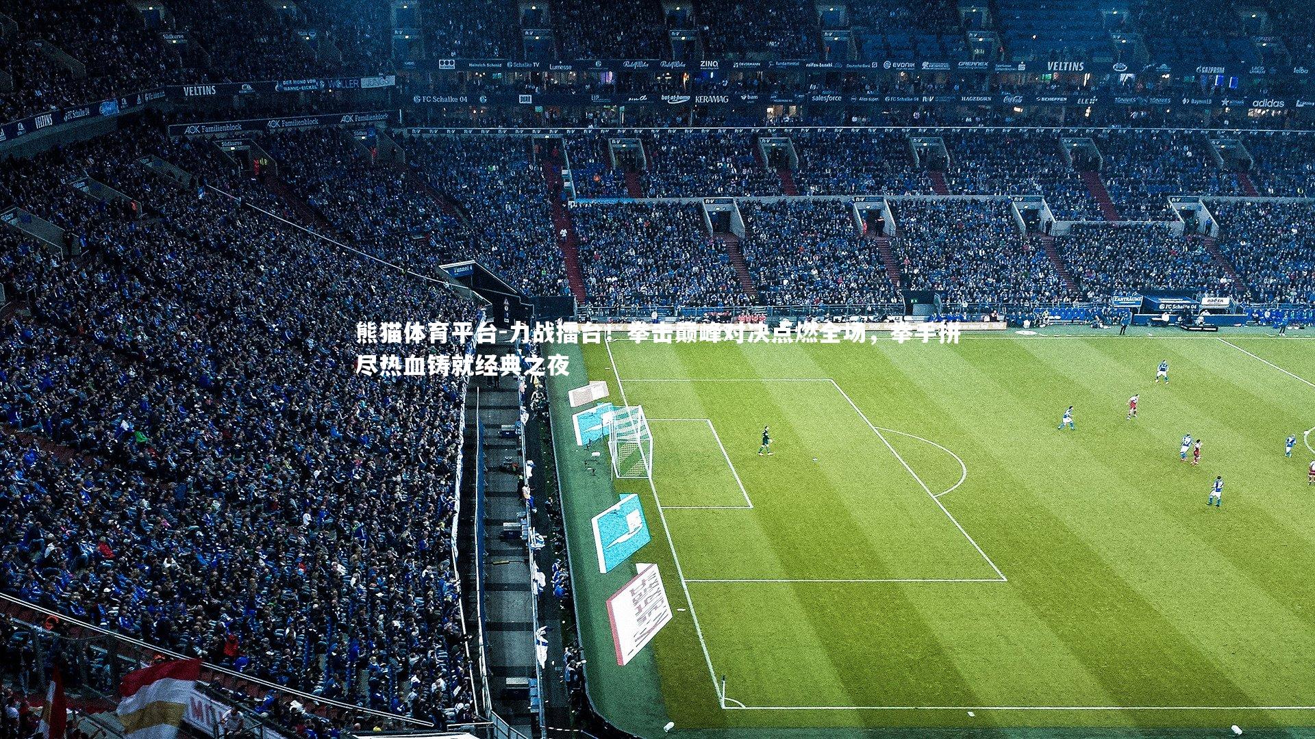 力战擂台！拳击巅峰对决点燃全场，拳手拼尽热血铸就经典之夜