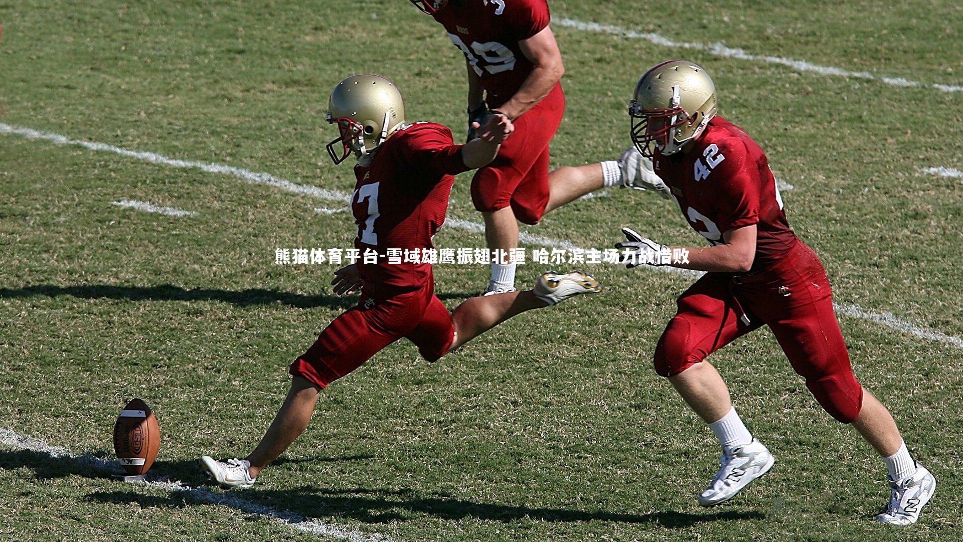 雪域雄鹰振翅北疆 哈尔滨主场力战惜败