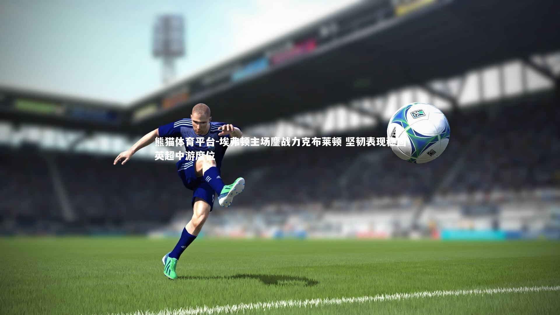 熊猫体育平台-埃弗顿主场鏖战力克布莱顿 坚韧表现稳固英超中游席位